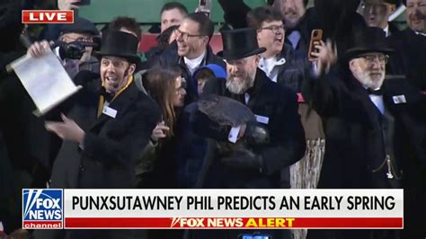 how accurate is punxsutawney phil